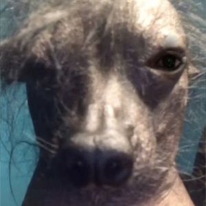 Meet your Posher, Isaiah